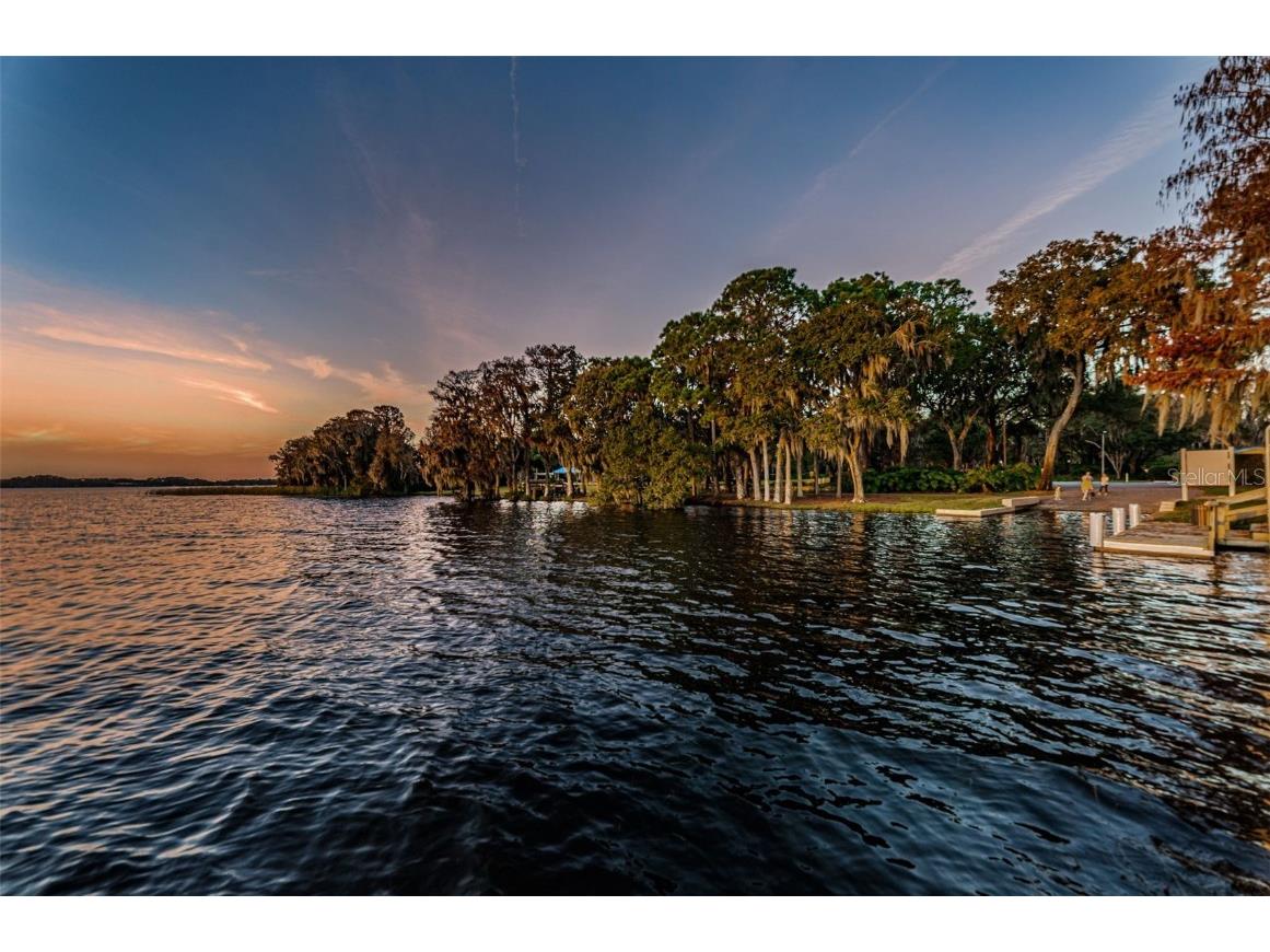 4445 Lansbrook Parkway Palm Harbor FL 34685 - LAKE TARPON U8226327 image62