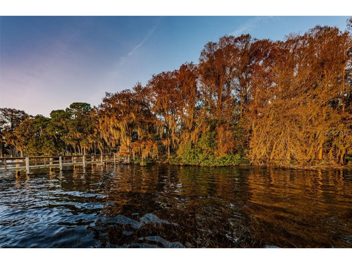 4445 Lansbrook Parkway Palm Harbor FL 34685 - LAKE TARPON U8226327 image63