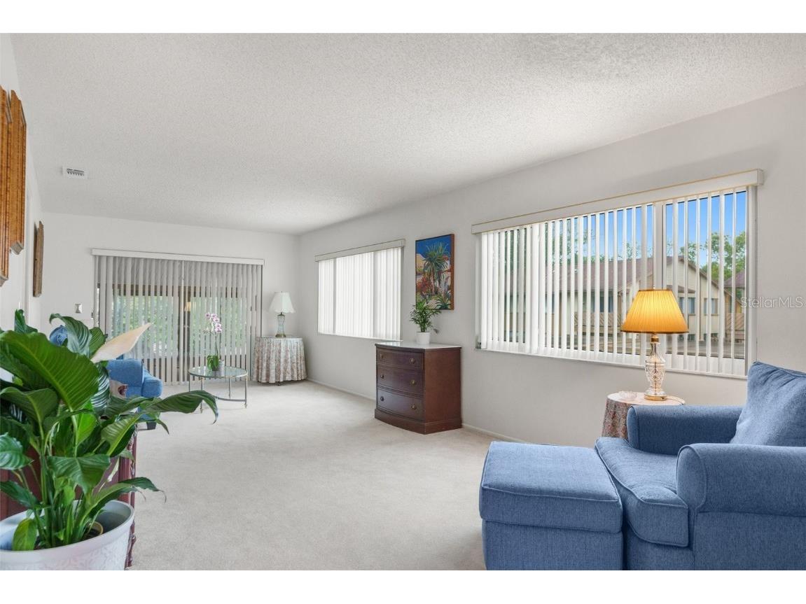 4445 Pelorus Drive New Port Richey FL 34652 TB8420721 image3