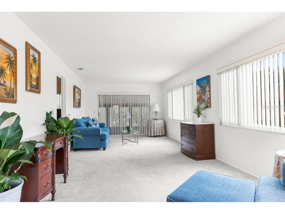 4445 Pelorus Drive New Port Richey FL 34652 TB8420721 image4