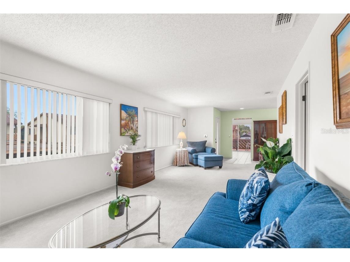 4445 Pelorus Drive New Port Richey FL 34652 TB8420721 image6