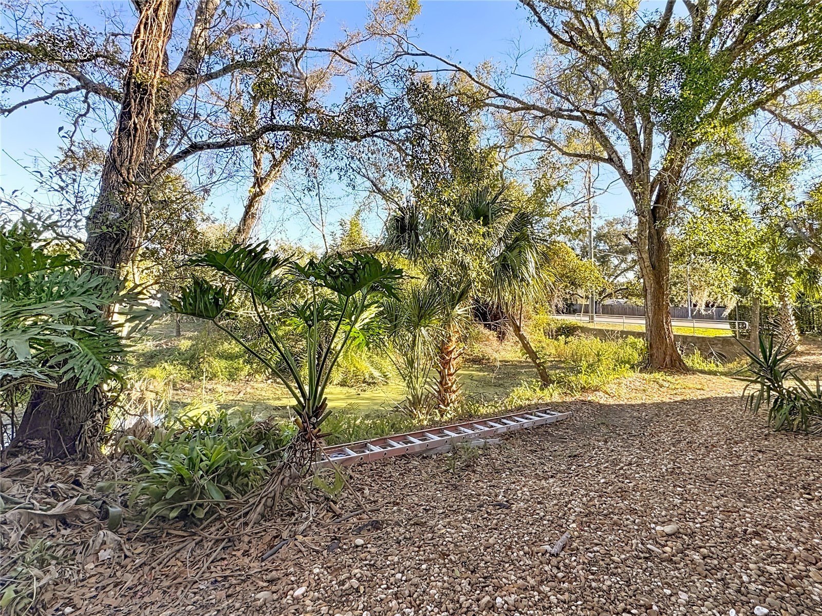 4445 Rayfield Drive Sarasota FL 34243 FC315442 image39