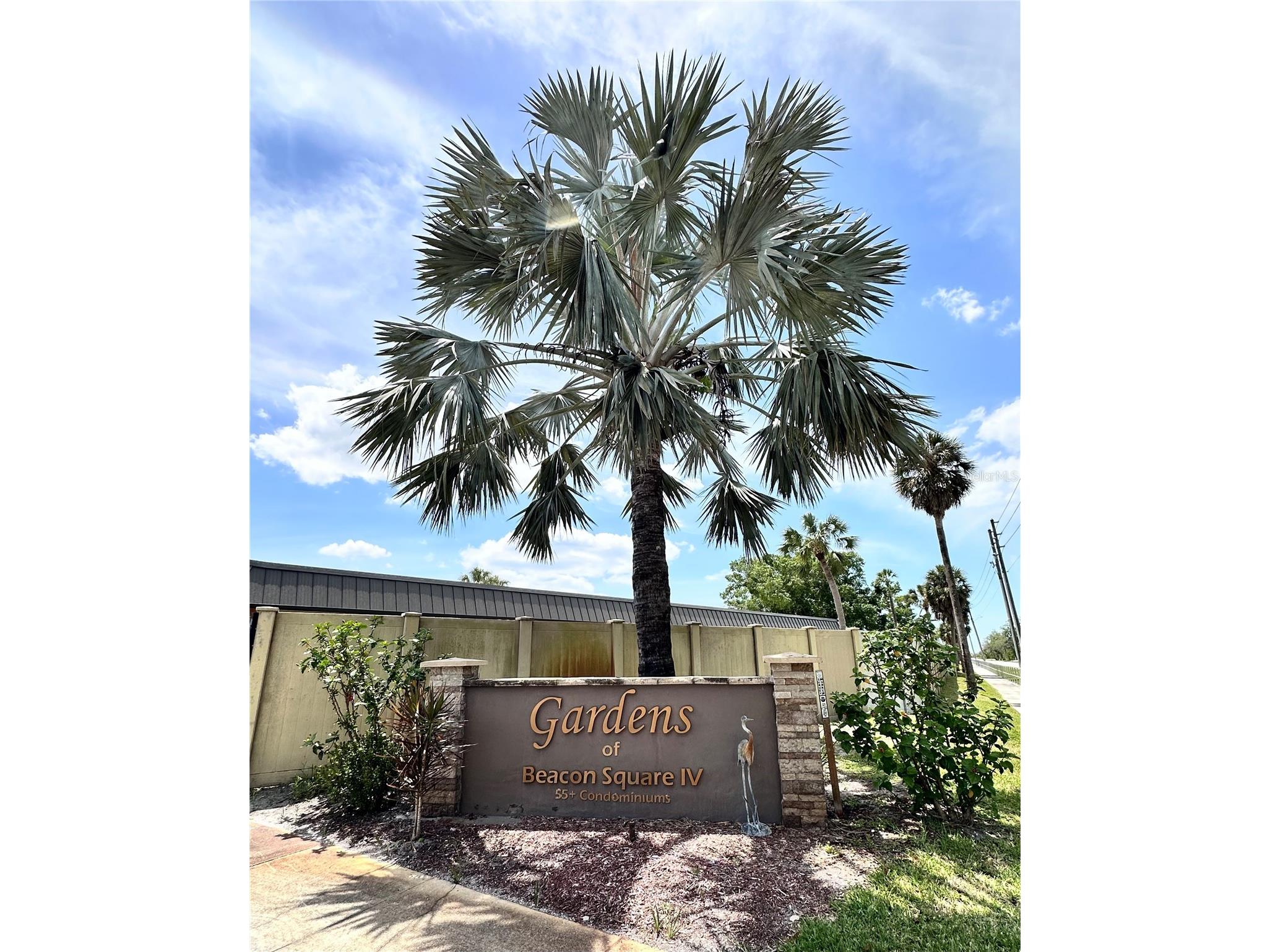 4445 Rustic Drive #D New Port Richey FL 34652 TB8499557 image34