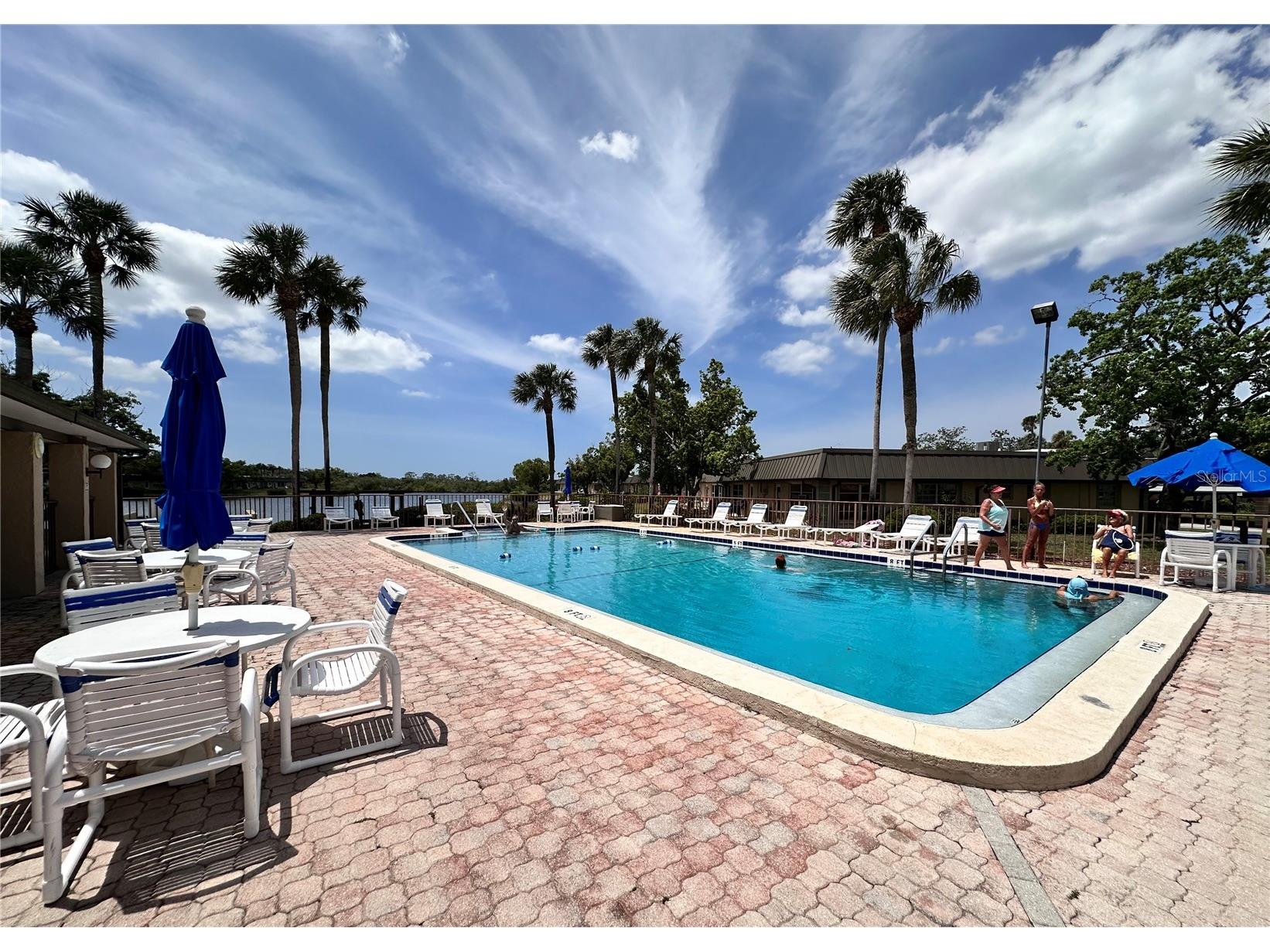 4445 Rustic Drive #D New Port Richey FL 34652 TB8499557 image36