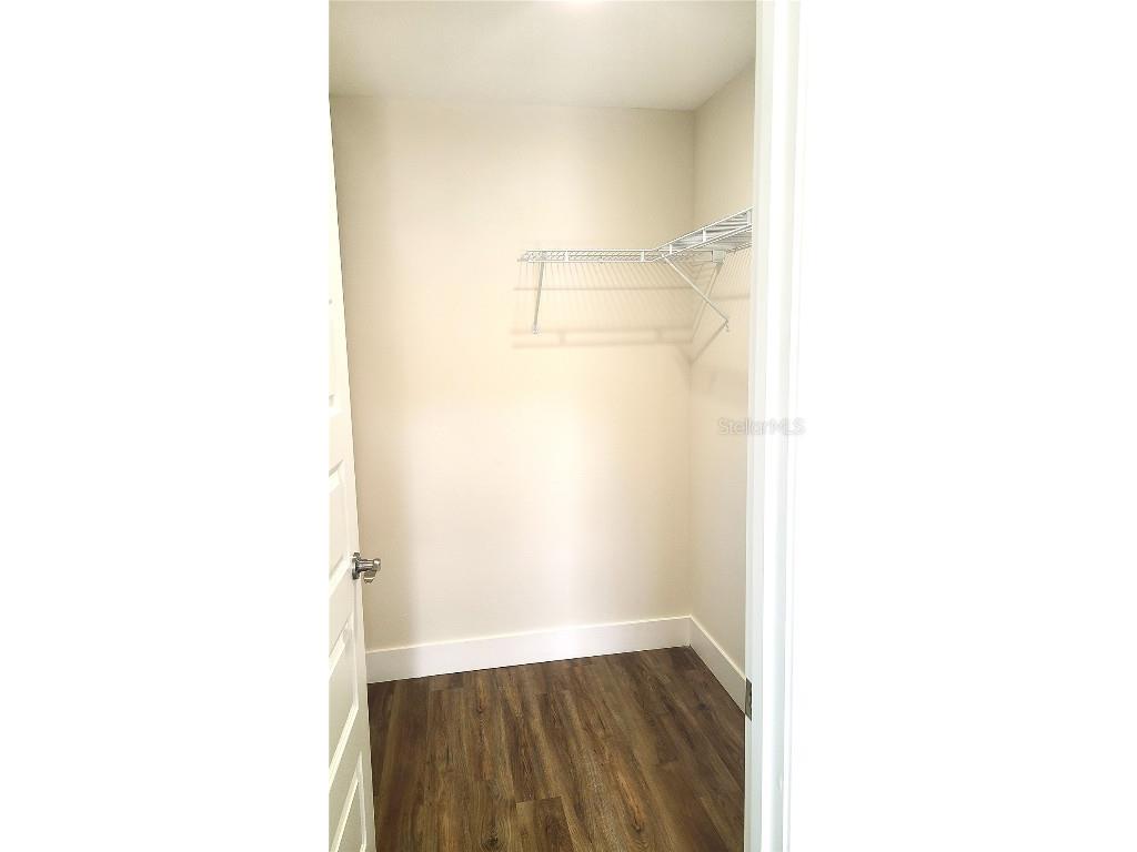 4445 Summer Flowers Place Kissimmee FL 34746 S5139220 image10