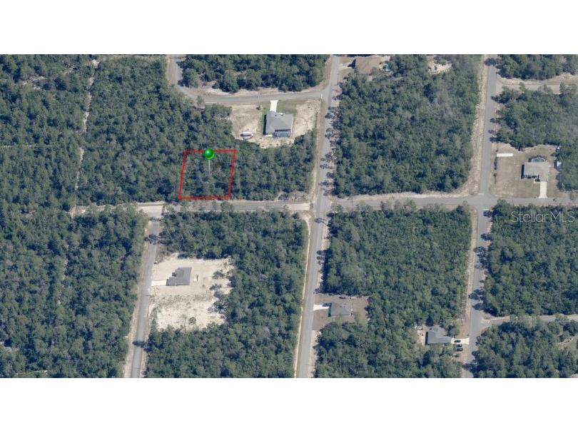 4445 W Thrush Drive Citrus Springs FL 34434 OM689120 image1