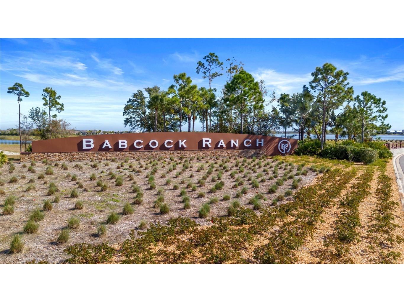 44457 Diamond Trail Punta Gorda FL 33982 O6346056 image21