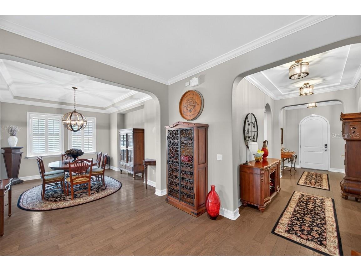 4446 Ortona Lane Wesley Chapel FL 33543 TB8420730 image10