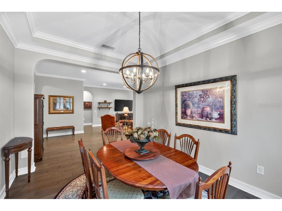 4446 Ortona Lane Wesley Chapel FL 33543 TB8420730 image24