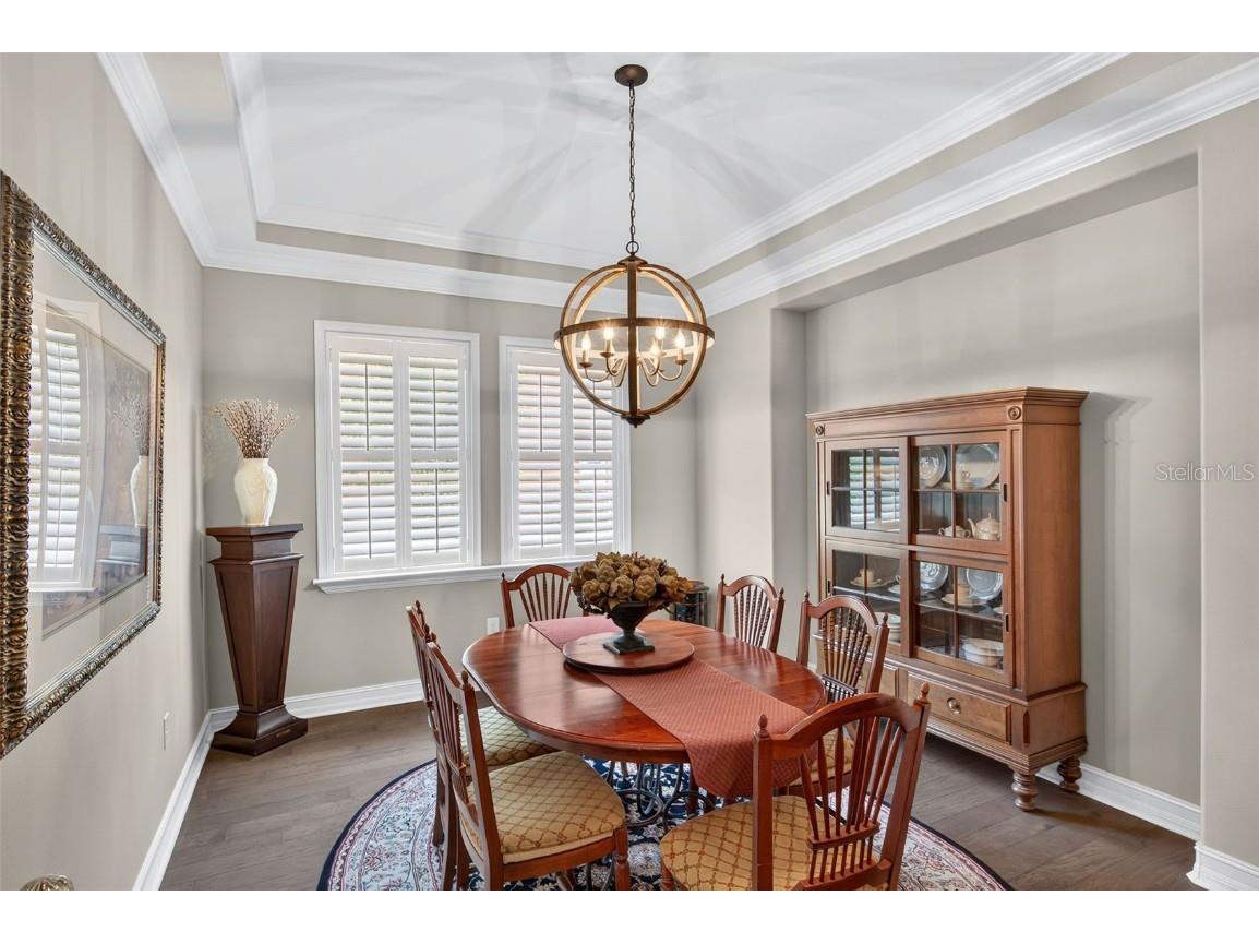 4446 Ortona Lane Wesley Chapel FL 33543 TB8420730 image25