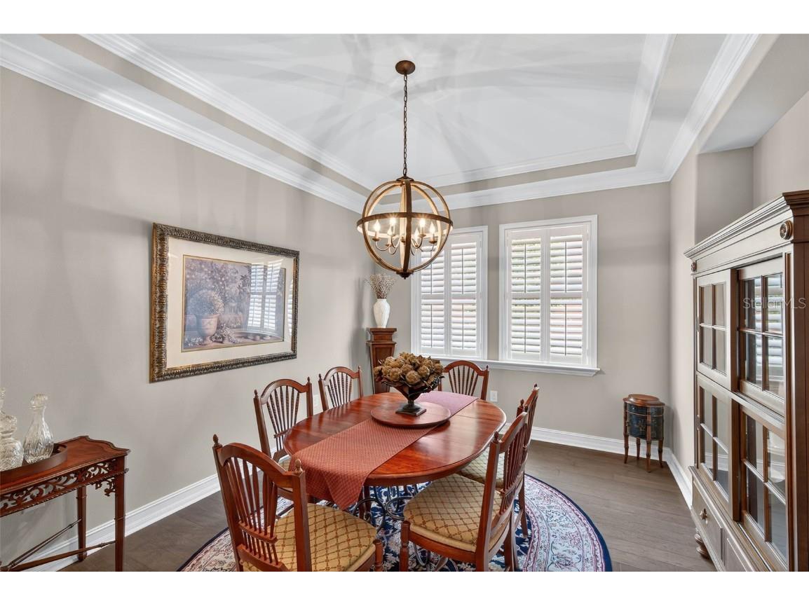 4446 Ortona Lane Wesley Chapel FL 33543 TB8420730 image26