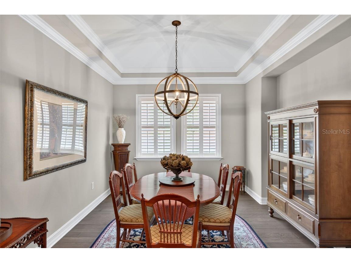 4446 Ortona Lane Wesley Chapel FL 33543 TB8420730 image27