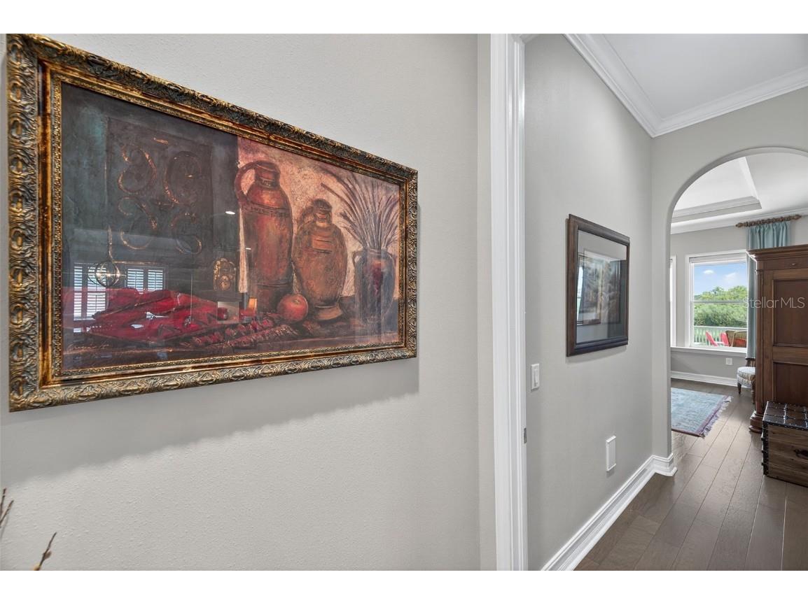 4446 Ortona Lane Wesley Chapel FL 33543 TB8420730 image28