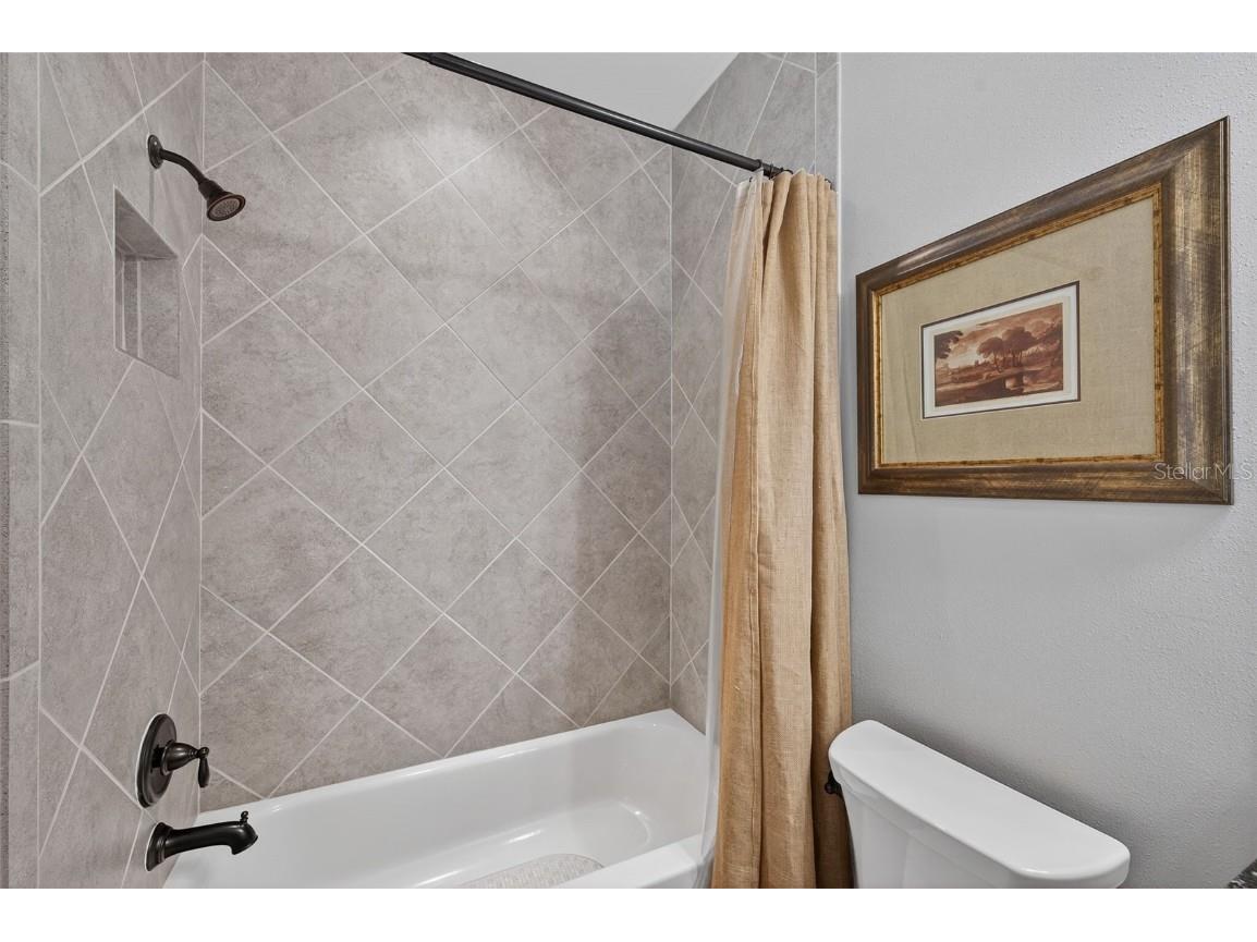 4446 Ortona Lane Wesley Chapel FL 33543 TB8420730 image40