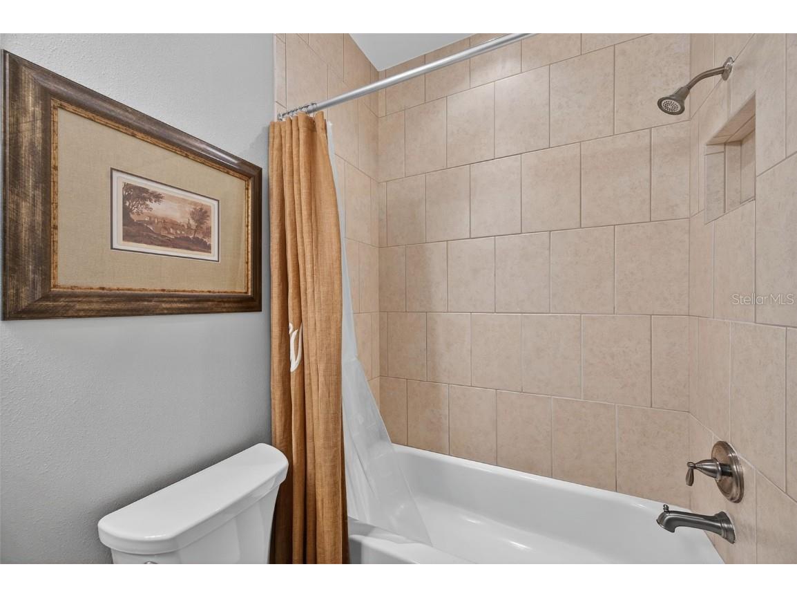 4446 Ortona Lane Wesley Chapel FL 33543 TB8420730 image46