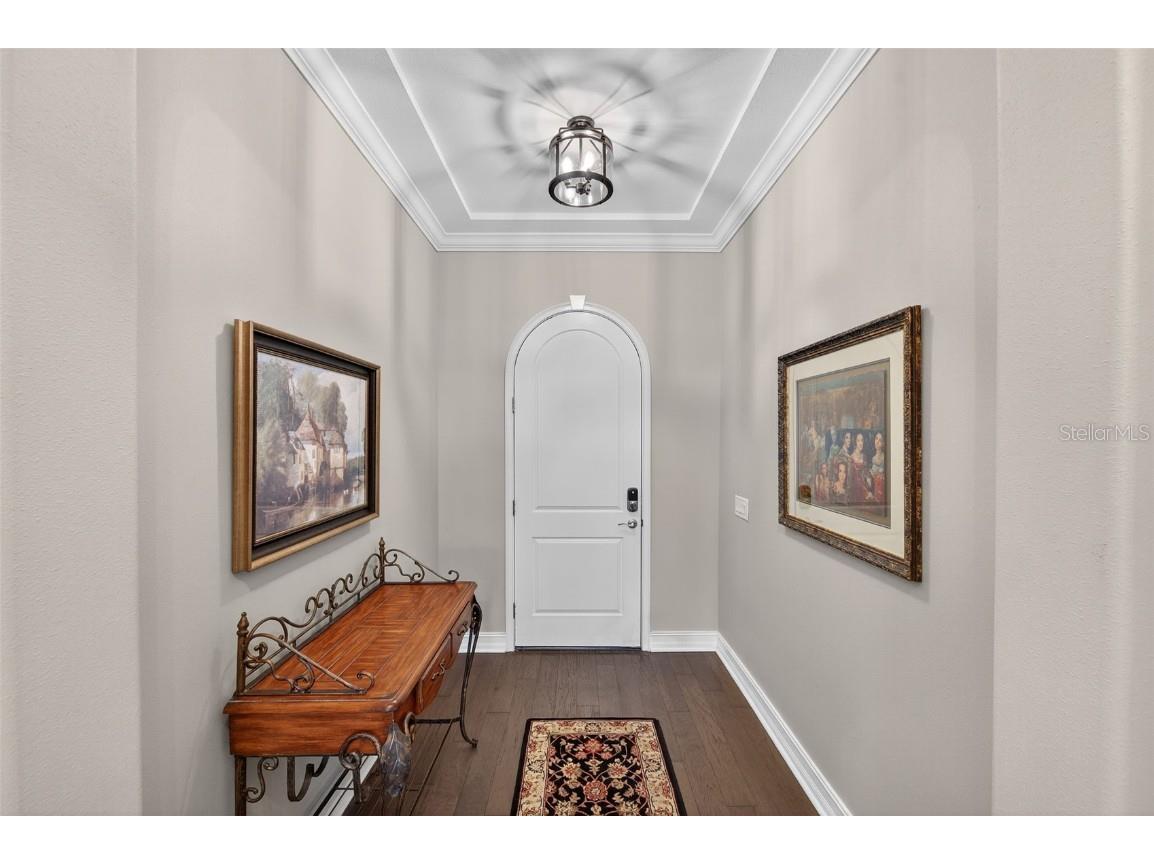 4446 Ortona Lane Wesley Chapel FL 33543 TB8420730 image6