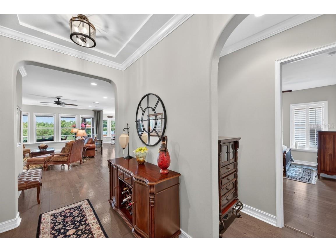 4446 Ortona Lane Wesley Chapel FL 33543 TB8420730 image9