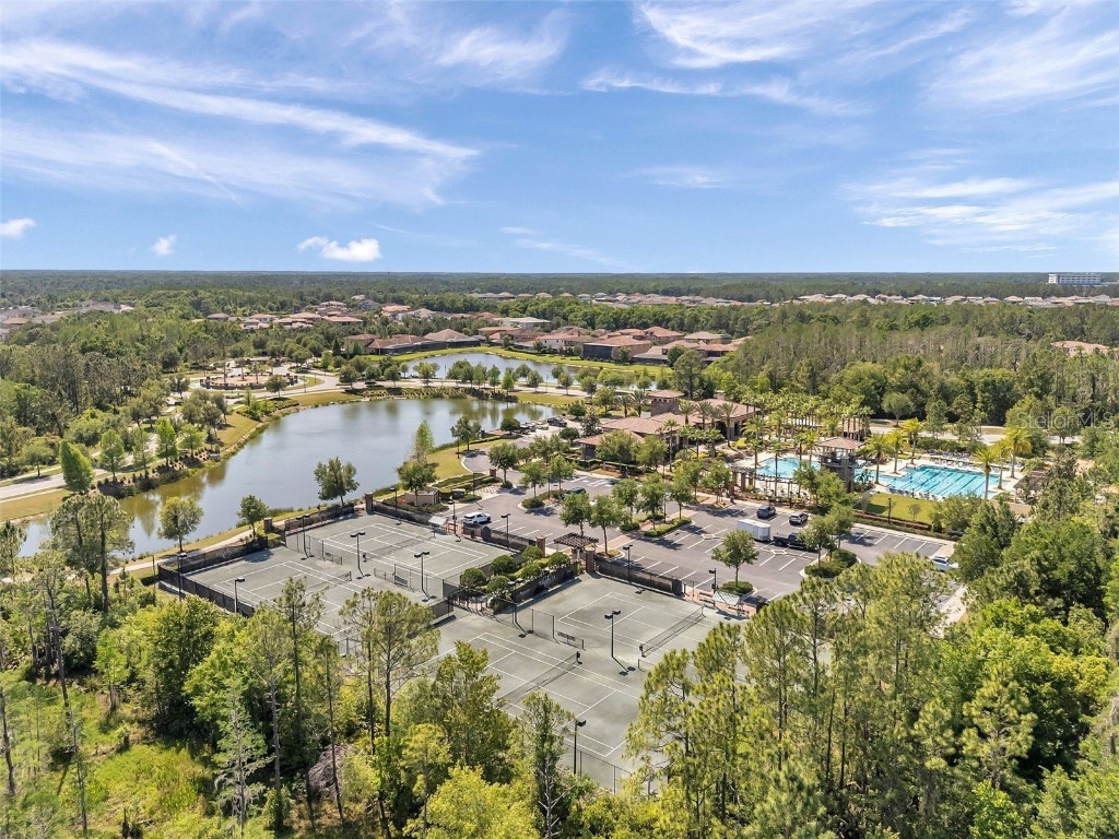 4446 Ortona Lane Wesley Chapel FL 33543 TB8420730 image95