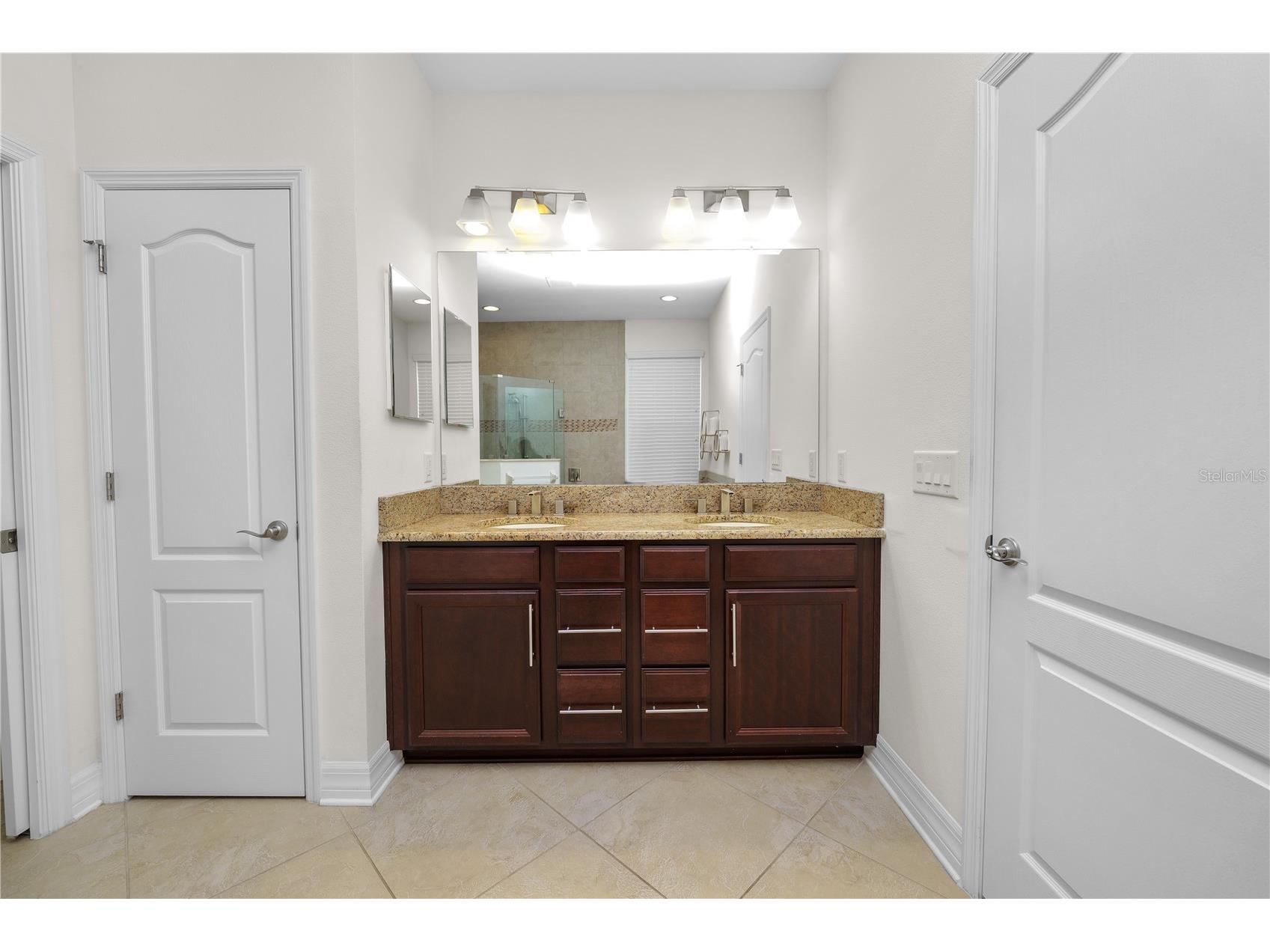 4446 Wildstar Circle Wesley Chapel FL 33544 TB8524052 image18