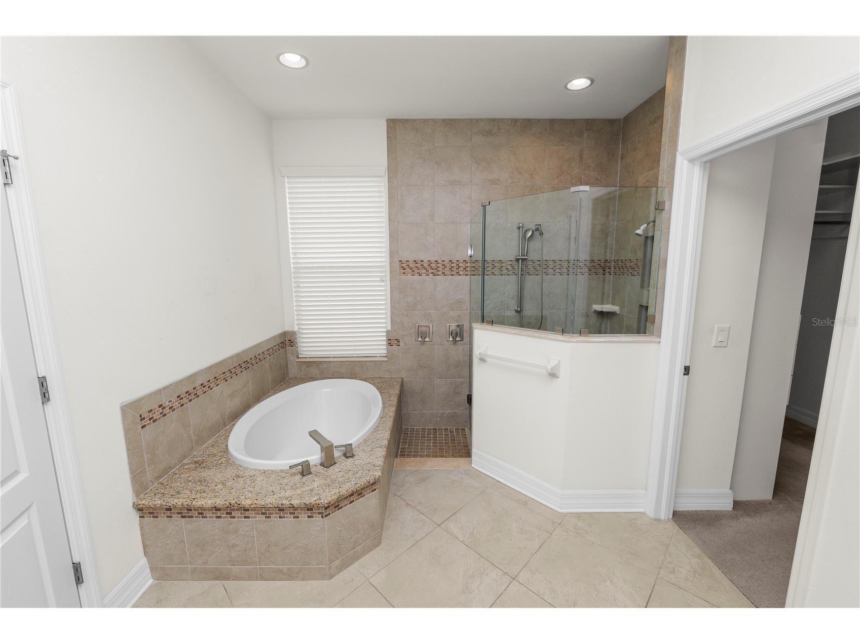 4446 Wildstar Circle Wesley Chapel FL 33544 TB8524052 image19