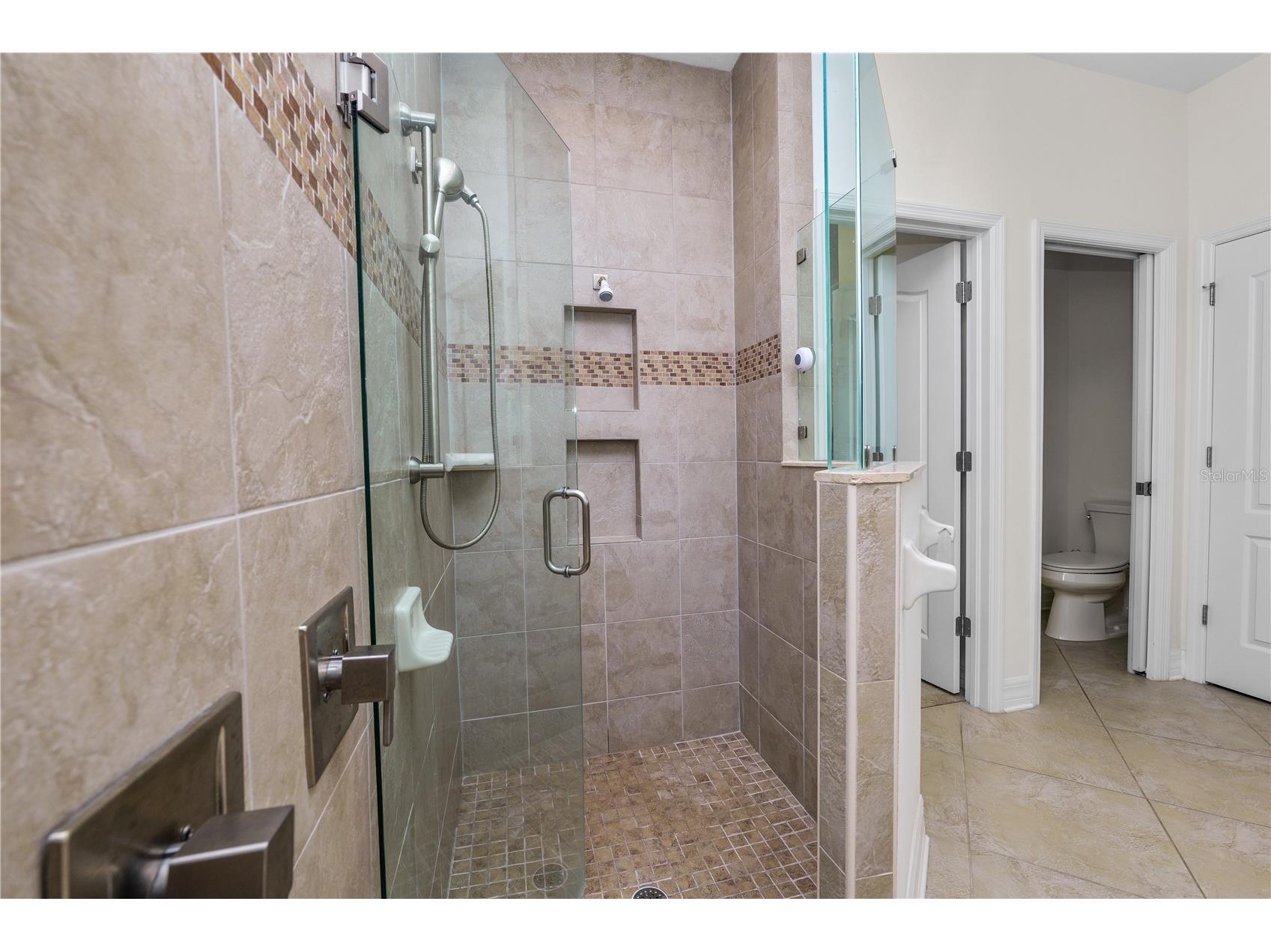 4446 Wildstar Circle Wesley Chapel FL 33544 TB8524052 image20