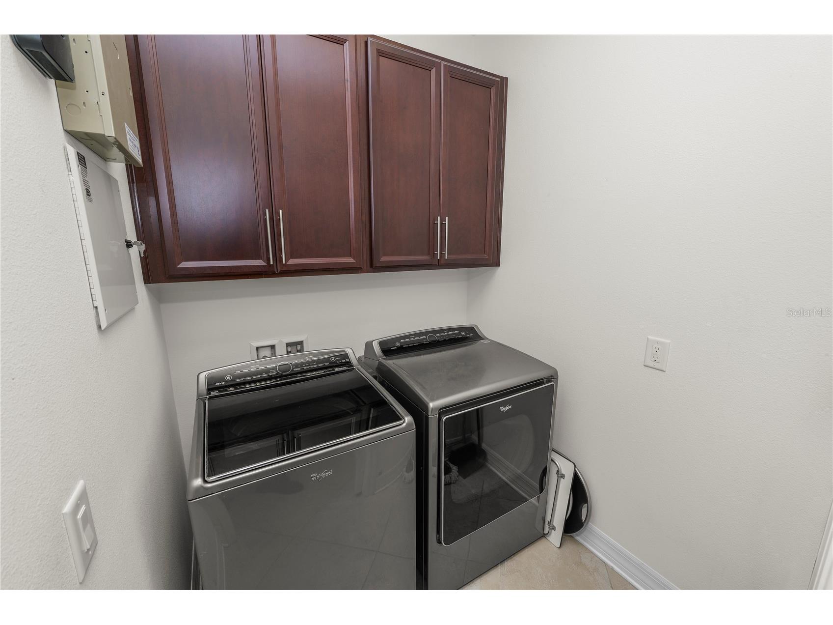 4446 Wildstar Circle Wesley Chapel FL 33544 TB8524052 image22