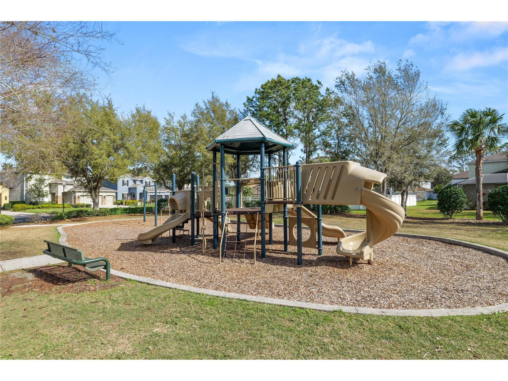 4446 Wildstar Circle Wesley Chapel FL 33544 TB8524052 image36