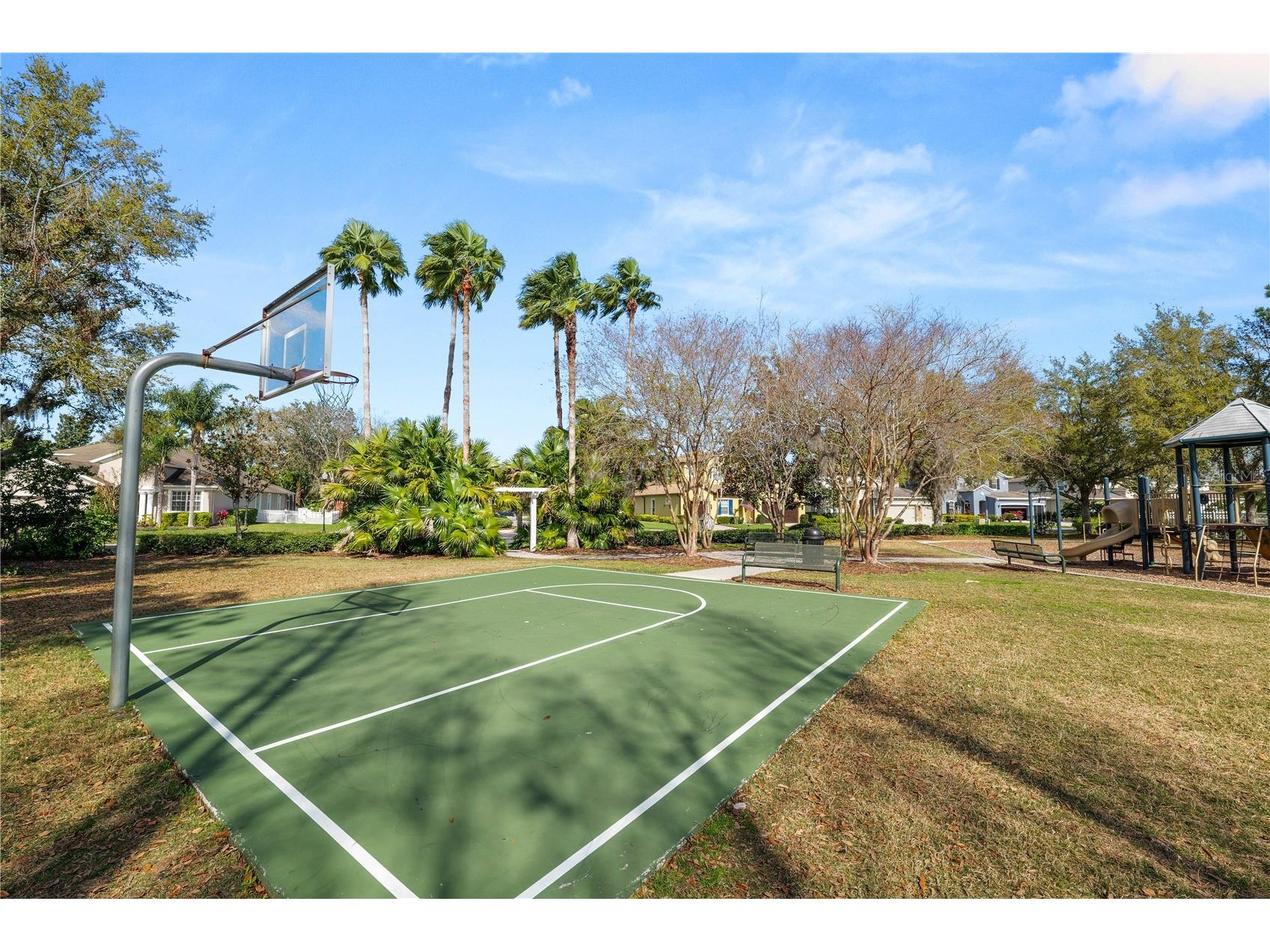 4446 Wildstar Circle Wesley Chapel FL 33544 TB8524052 image38