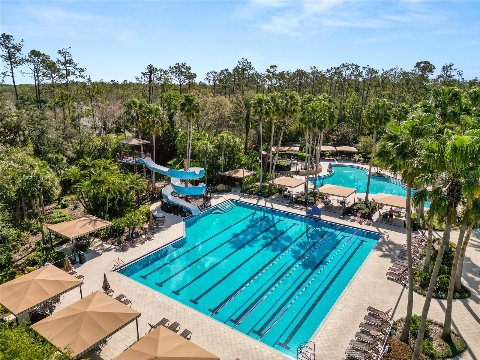 4446 Wildstar Circle Wesley Chapel FL 33544 TB8524052 image42
