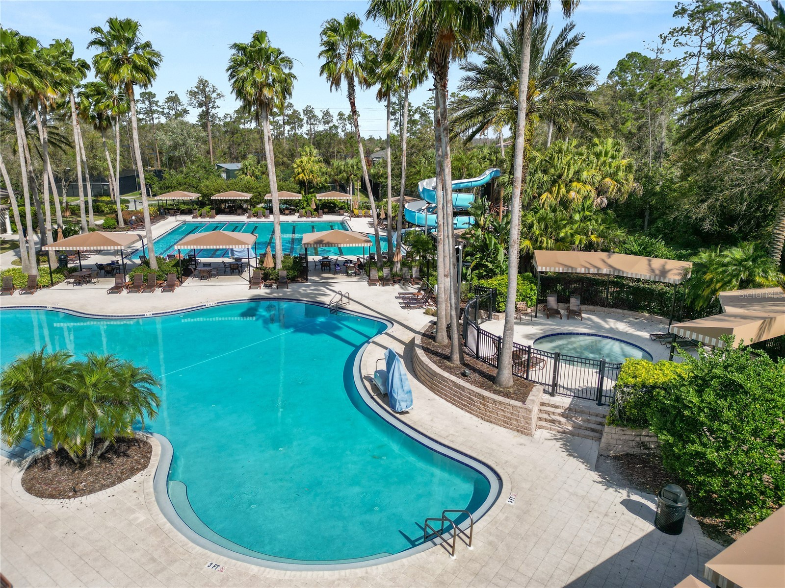 4446 Wildstar Circle Wesley Chapel FL 33544 TB8524052 image43