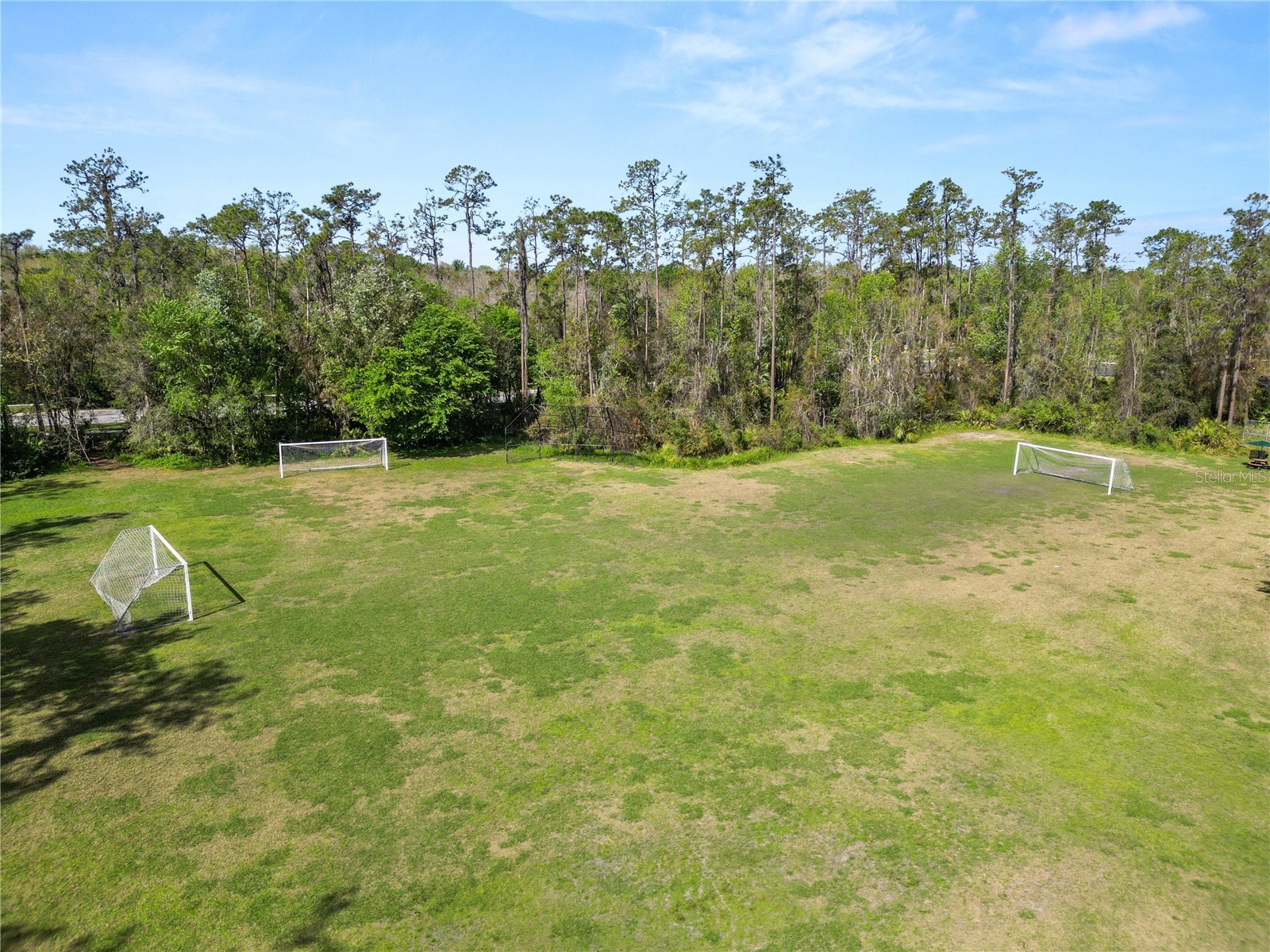 4446 Wildstar Circle Wesley Chapel FL 33544 TB8524052 image47