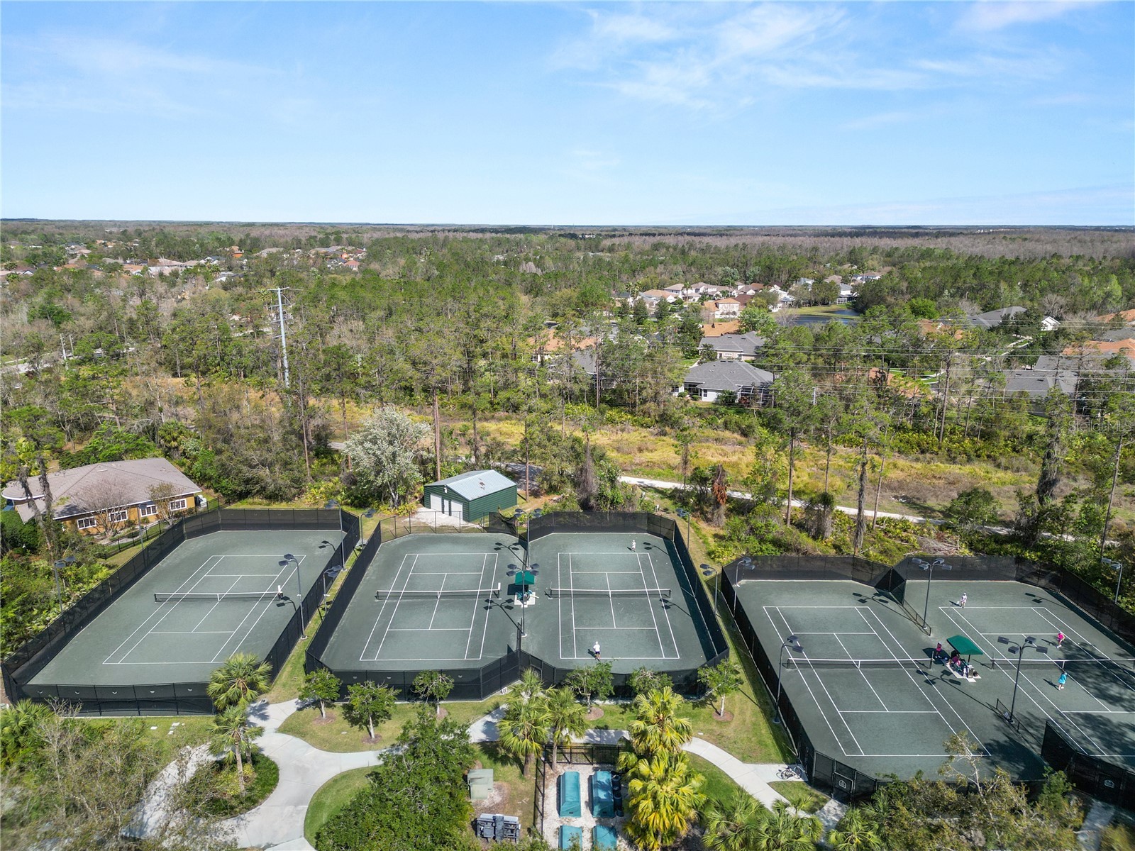 4446 Wildstar Circle Wesley Chapel FL 33544 TB8524052 image48