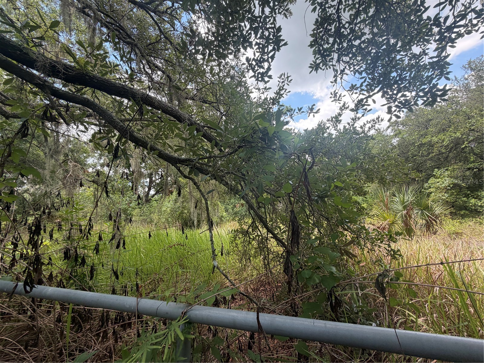 4447 Edwards Rd Plant City FL 33567 TB8518846 image4