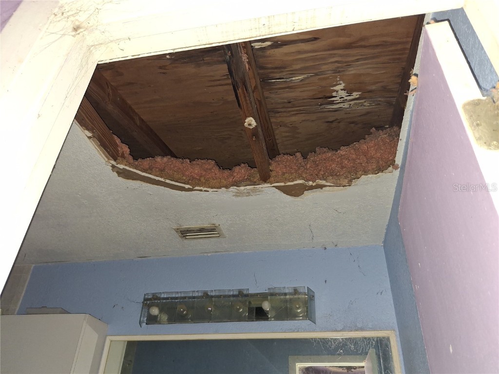 4448 Bethlehem Road Dover FL 33527 TB8404884 image14