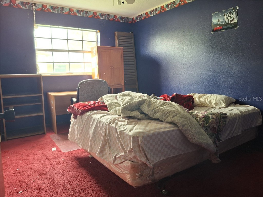 4448 Bethlehem Road Dover FL 33527 TB8404884 image21