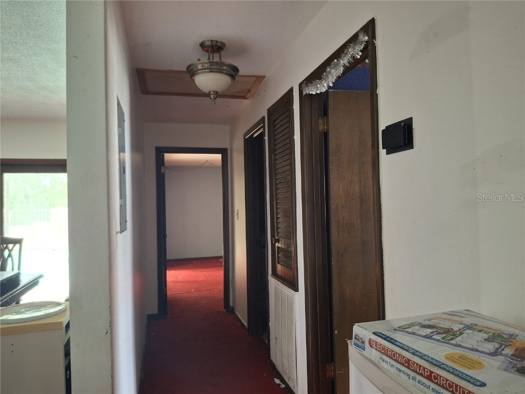 4448 Bethlehem Road Dover FL 33527 TB8404884 image23