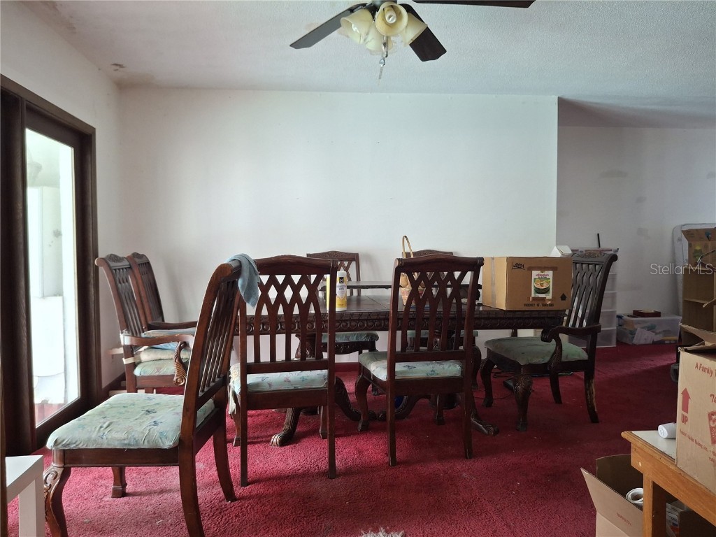 4448 Bethlehem Road Dover FL 33527 TB8404884 image28