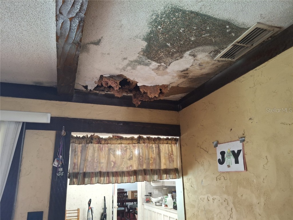 4448 Bethlehem Road Dover FL 33527 TB8404884 image36