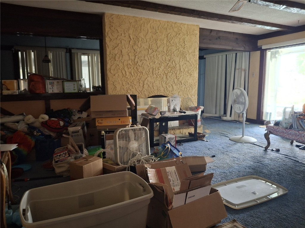 4448 Bethlehem Road Dover FL 33527 TB8404884 image38