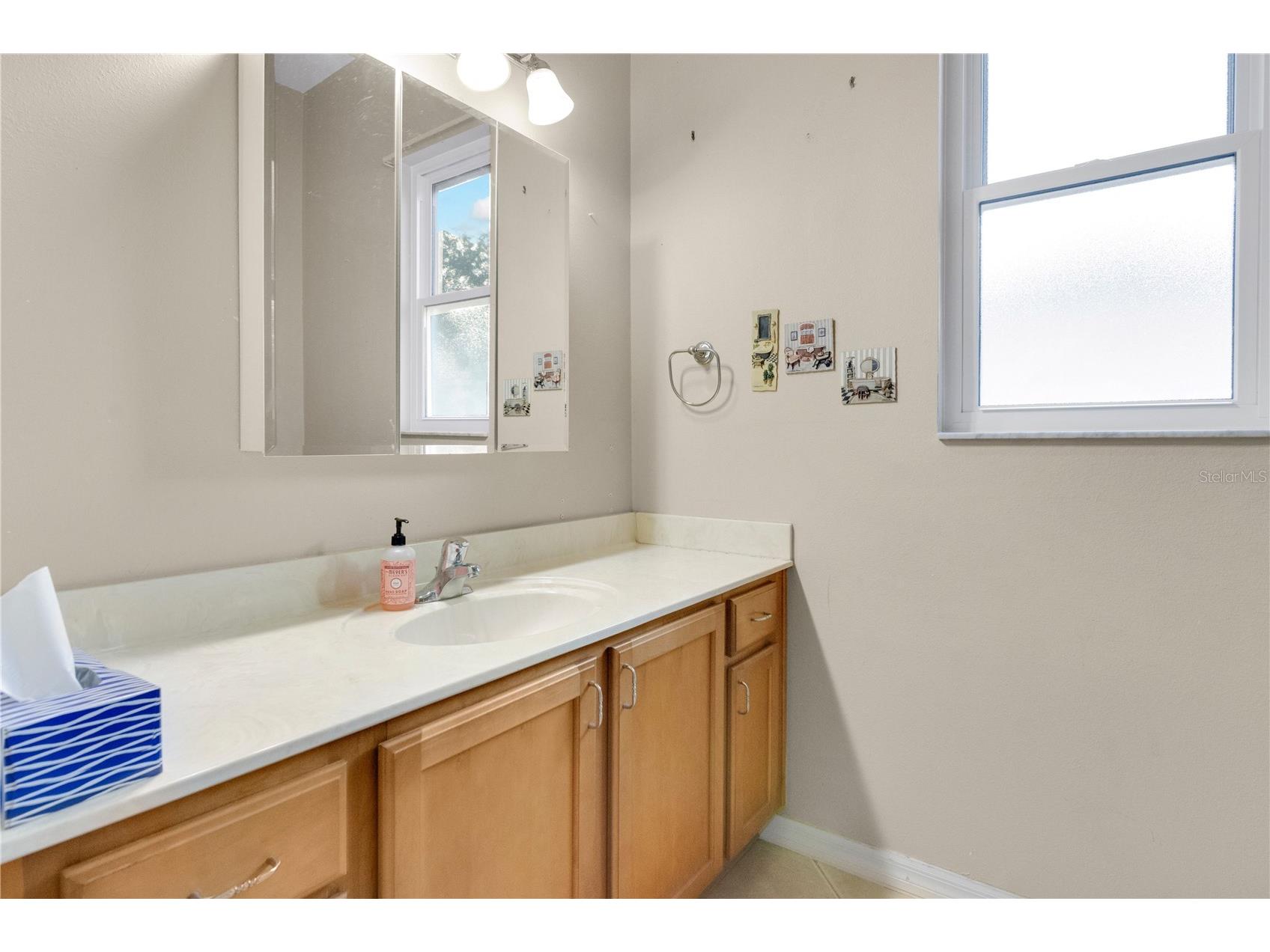 4448 Harts Cove Way Clermont FL 34711 O6378681 image17