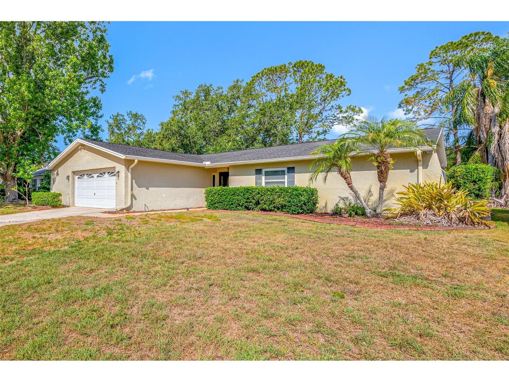 4448 Ranchwood Lane Tampa FL 33624 TB8505110 image10
