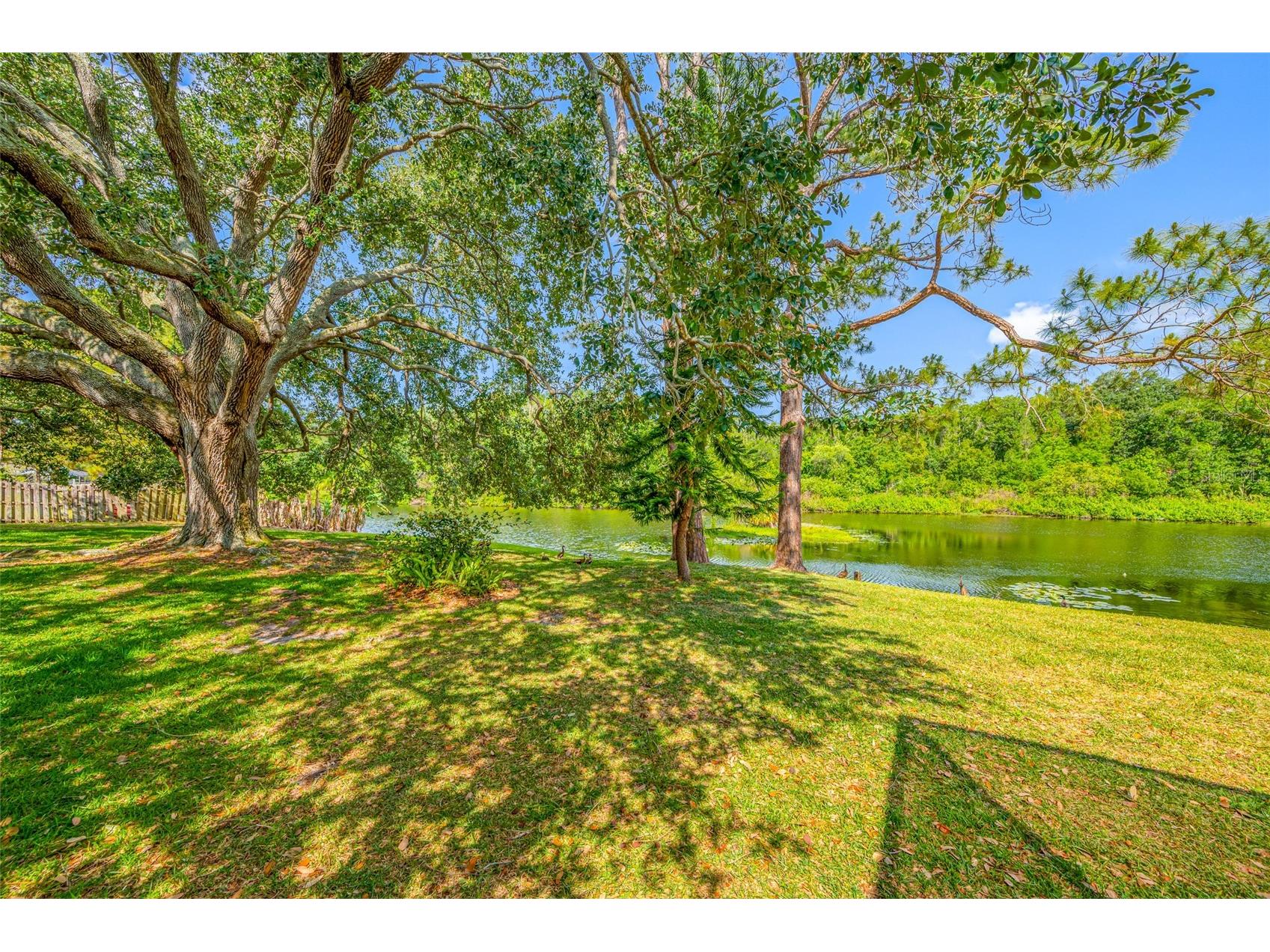 4448 Ranchwood Lane Tampa FL 33624 TB8505110 image12