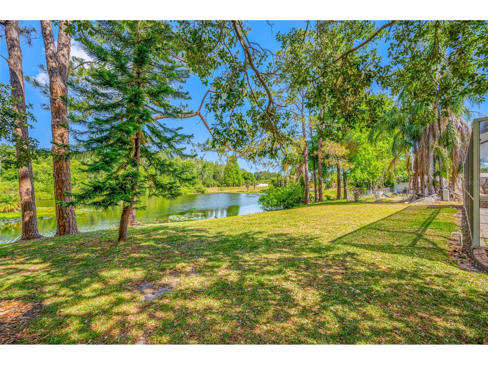 4448 Ranchwood Lane Tampa FL 33624 TB8505110 image13