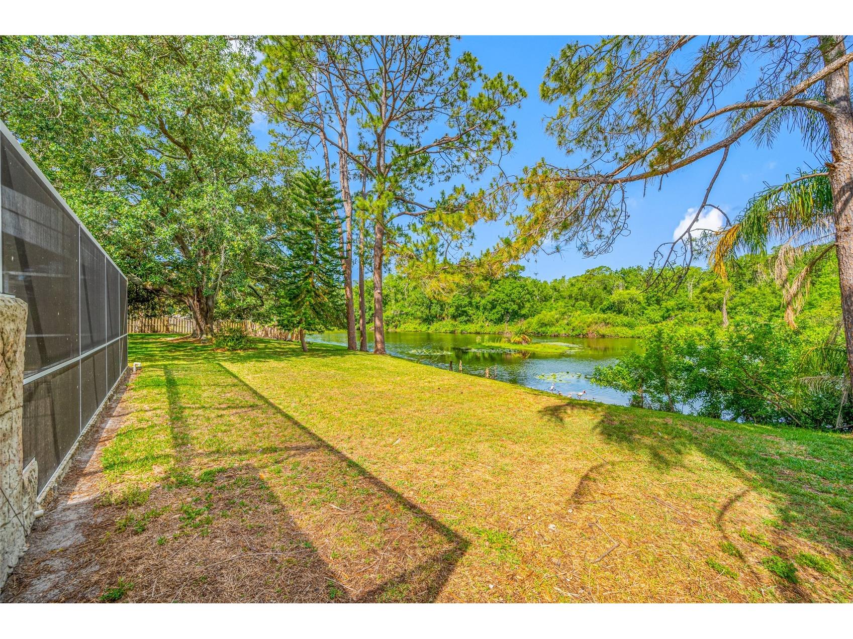 4448 Ranchwood Lane Tampa FL 33624 TB8505110 image16