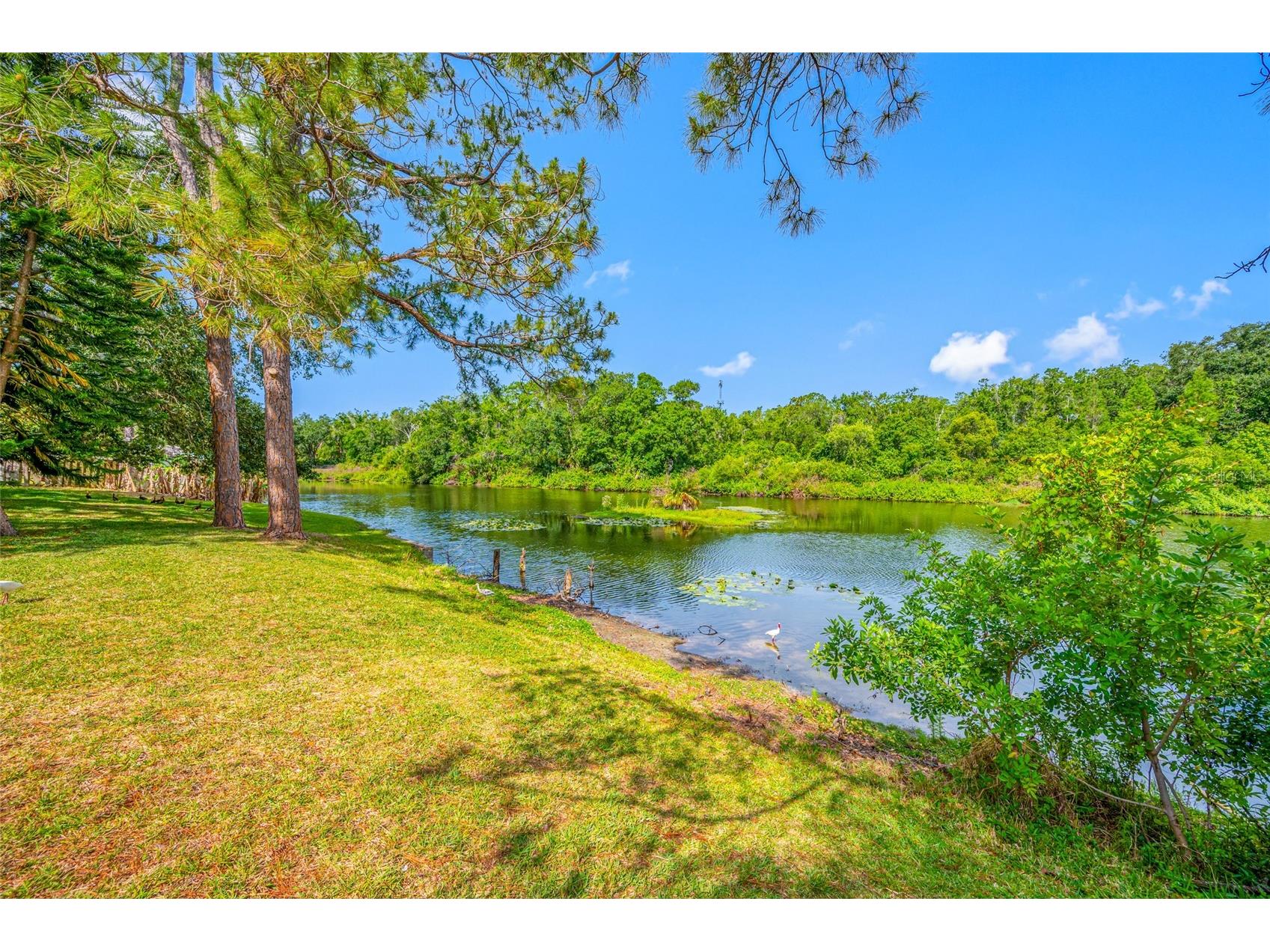 4448 Ranchwood Lane Tampa FL 33624 TB8505110 image17