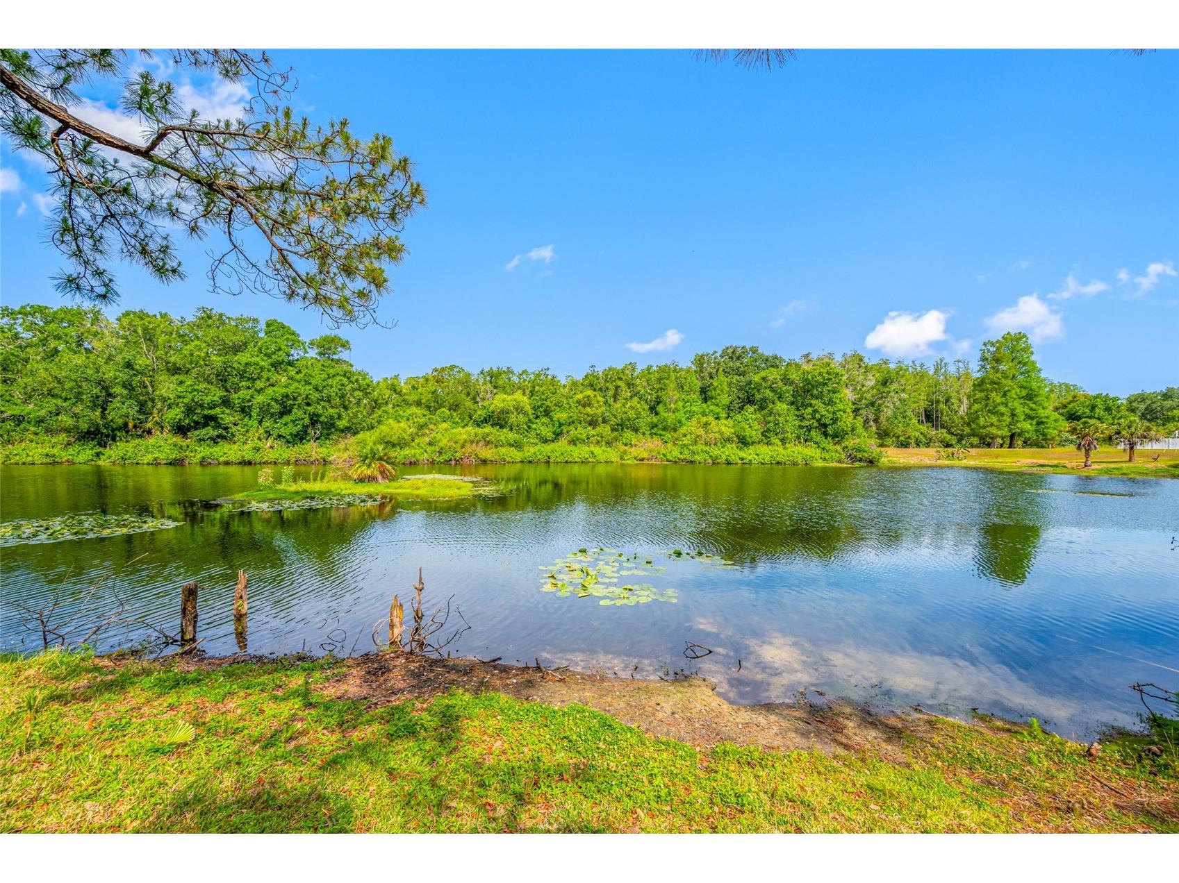 4448 Ranchwood Lane Tampa FL 33624 TB8505110 image18