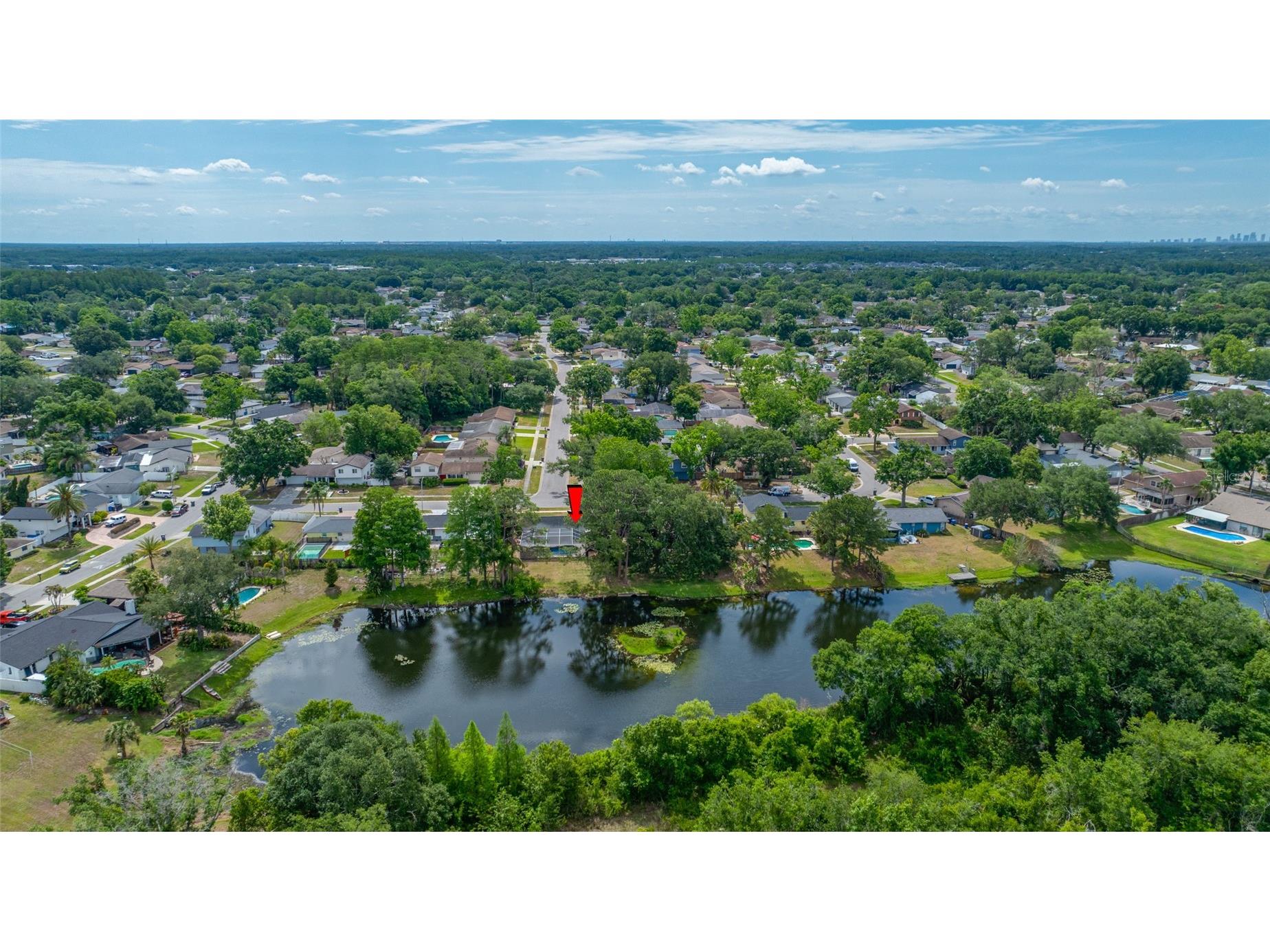 4448 Ranchwood Lane Tampa FL 33624 TB8505110 image5
