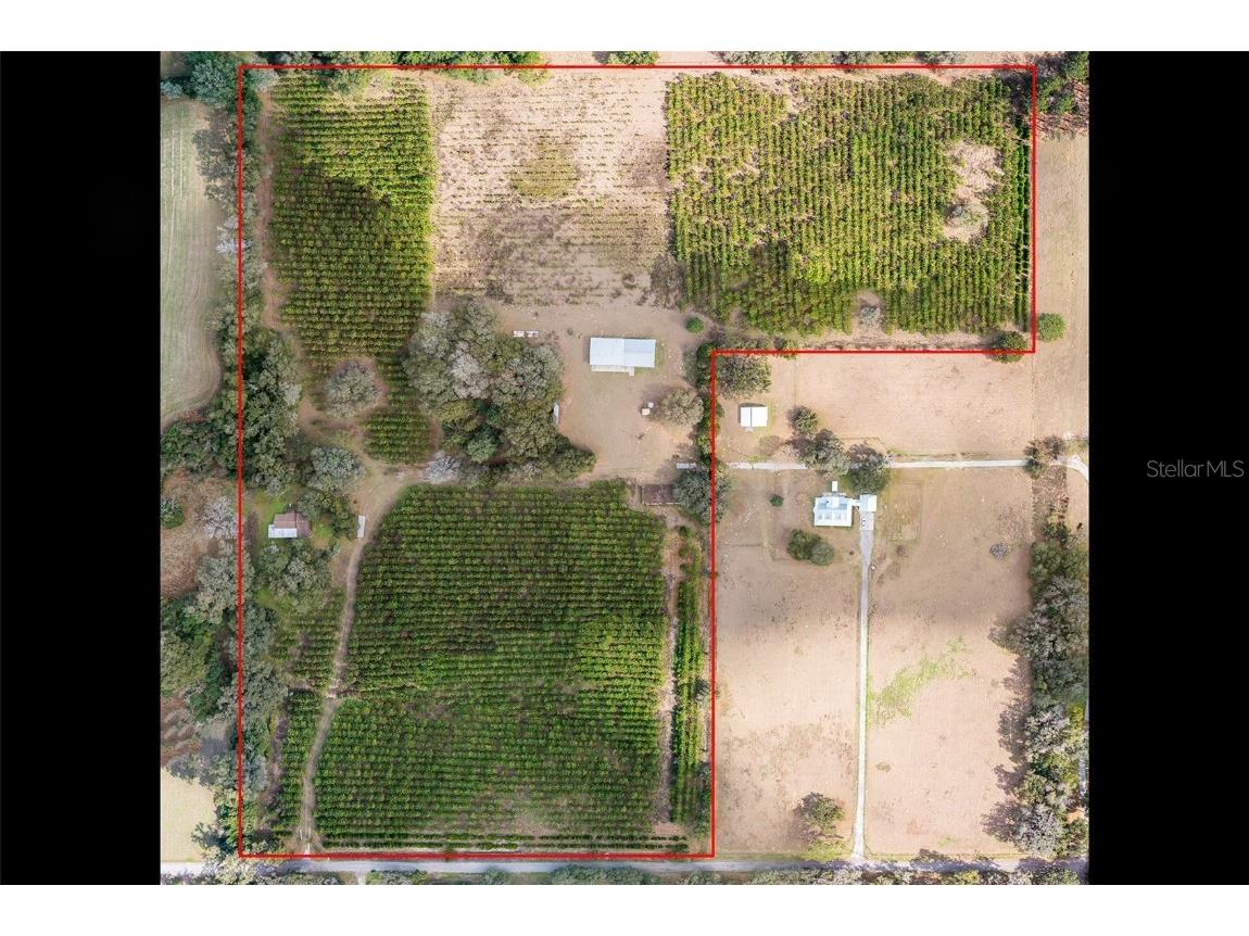 4448 White Road Brooksville FL 34602 T3425818 image1