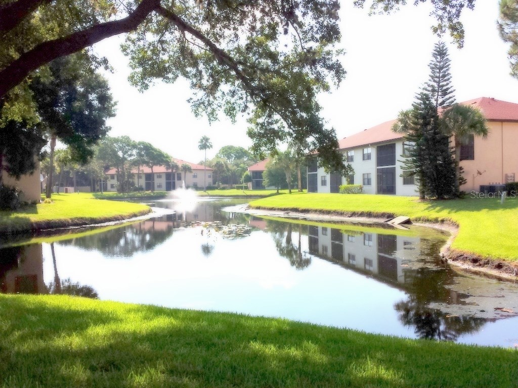 4449 46th Avenue W #4449 Bradenton FL 34210 A4158933 image21