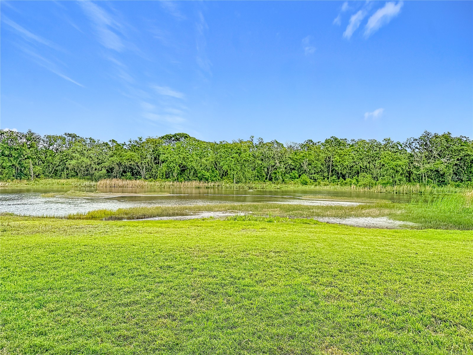4449 Eternal Prince Drive Sun City Center FL 33573 TB8498523 image33